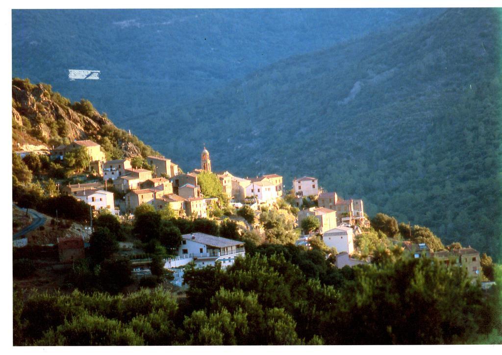 Pensión A Pianella 3*